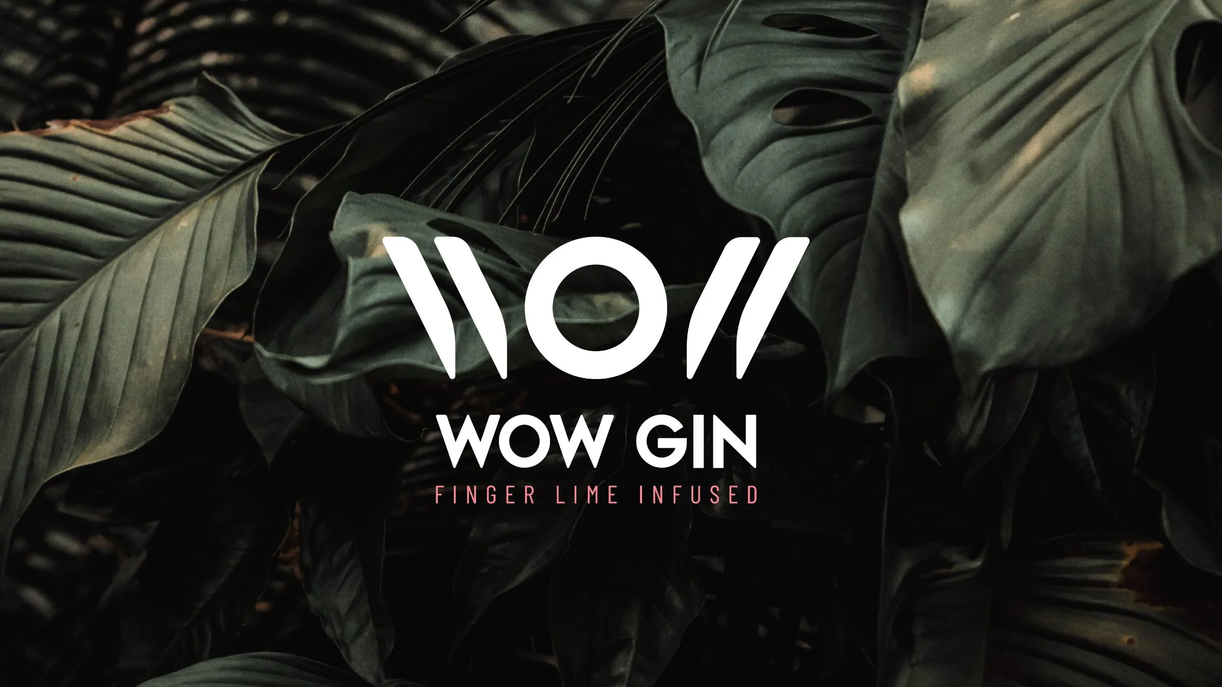 Wow Gin — Visual